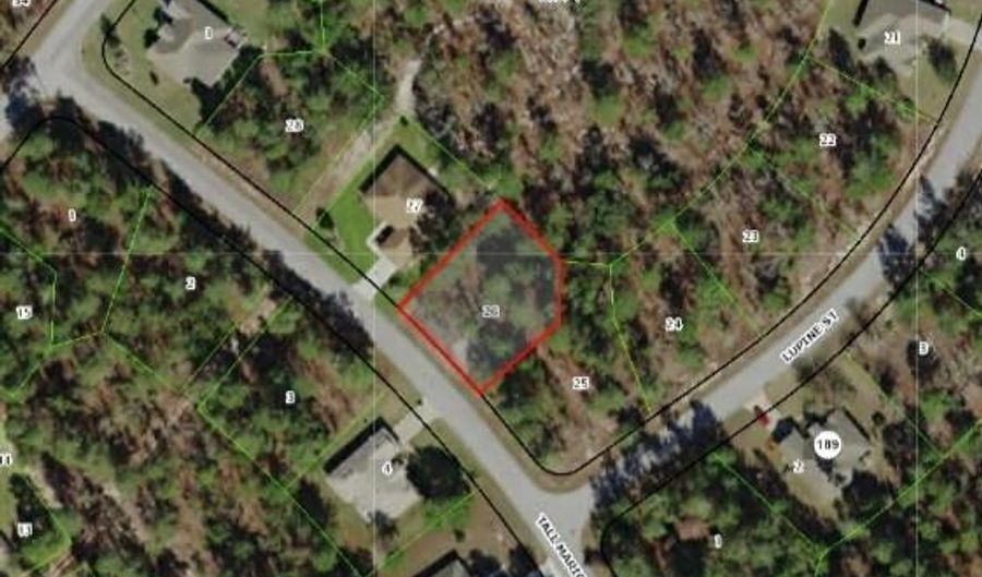 8 Tall Marigolds Ct, Homosassa, FL 34446 - 0 Beds, 0 Bath