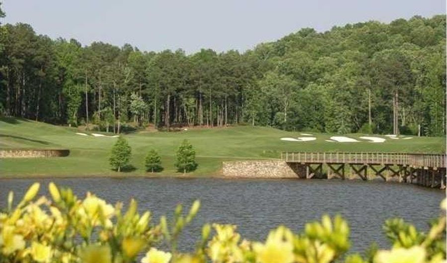 110 Hawks Club Dr, Ball Ground, GA 30107 - 0 Beds, 0 Bath