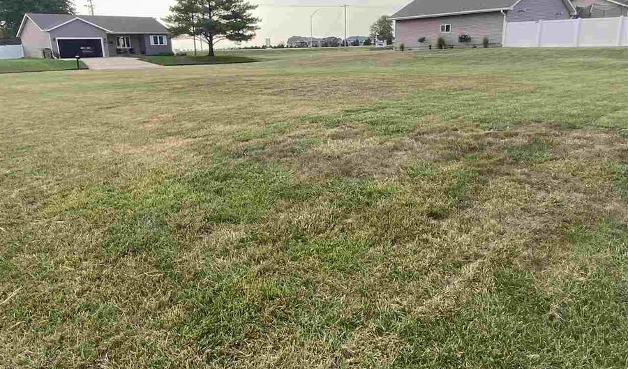 Applewood Street, Aurora, NE 68818 - 0 Beds, 0 Bath