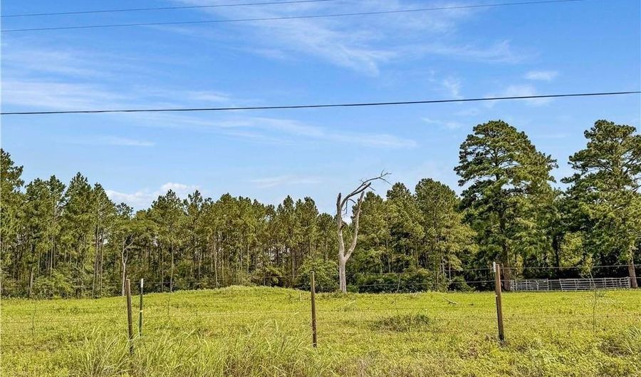 6779 County Road 215, Anderson, TX 77830 - 0 Beds, 0 Bath