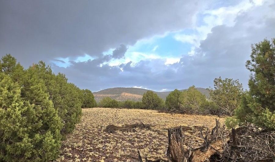 Lot 9 Pinon Valley Ranch, Concho, AZ 85924 - 0 Beds, 0 Bath