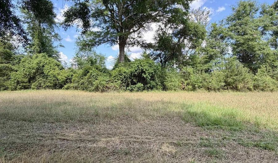 Green Town Road, Bay Minette, AL 36507 - 0 Beds, 0 Bath