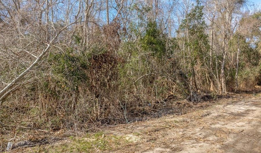 222 23rd Ave Lot L20 & 21/B233, Apalachicola, FL 32320 - 0 Beds, 0 Bath