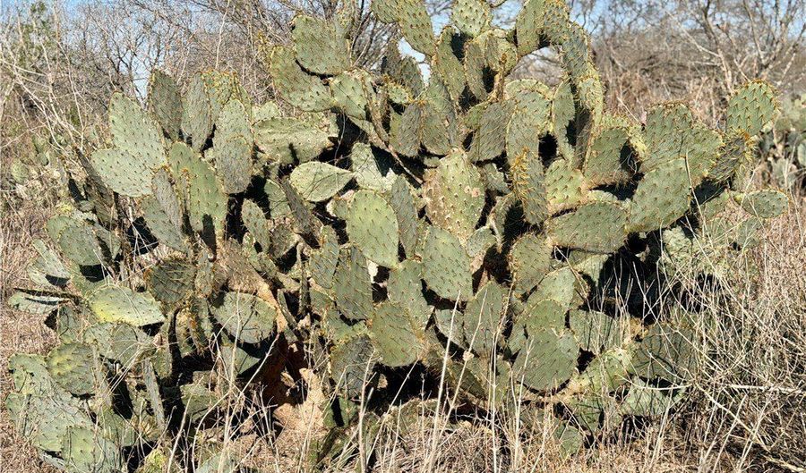 CR 119 lot 0, Alice, TX 78332 - 0 Beds, 0 Bath