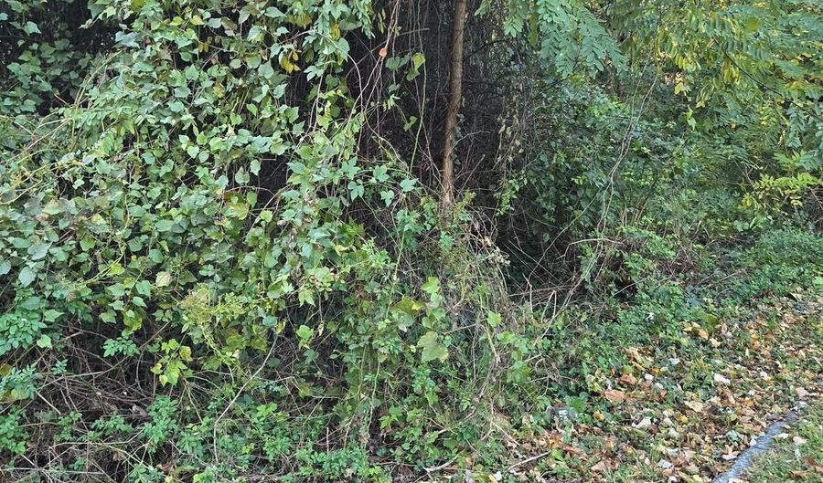 8824 OLD LAUREL BOWIE Rd, Bowie, MD 20720 - 0 Beds, 0 Bath