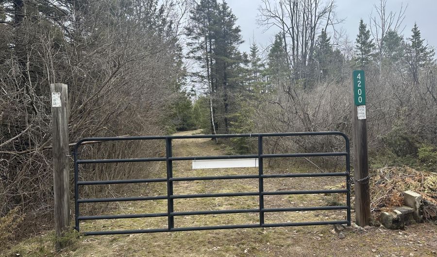 4200 Bloom Rd, Alpena, MI 49707 - 0 Beds, 0 Bath