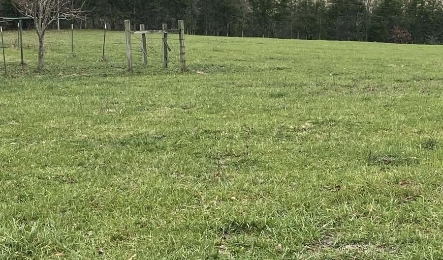 2174 County Road A-425, Ava, MO 65608 - 2 Beds, 1 Bath