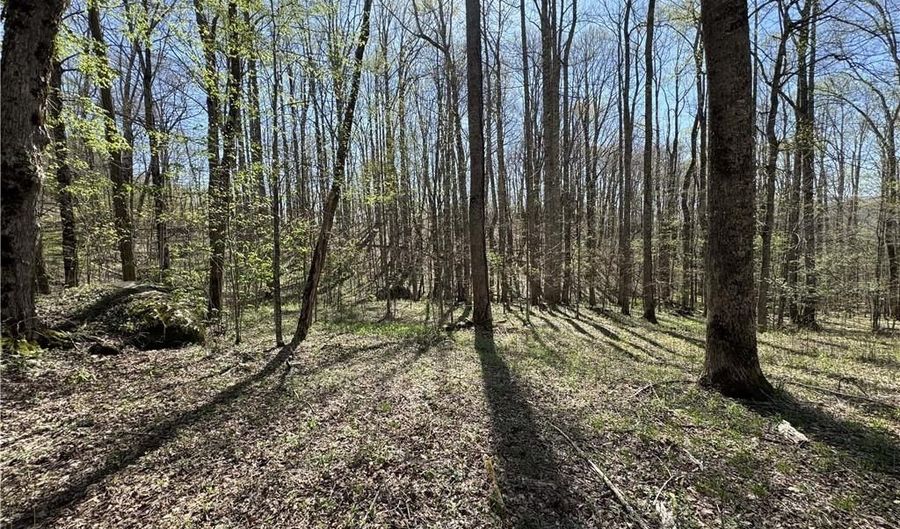 Tbd Katie Lane, Bakersville, NC 28705 - 0 Beds, 0 Bath