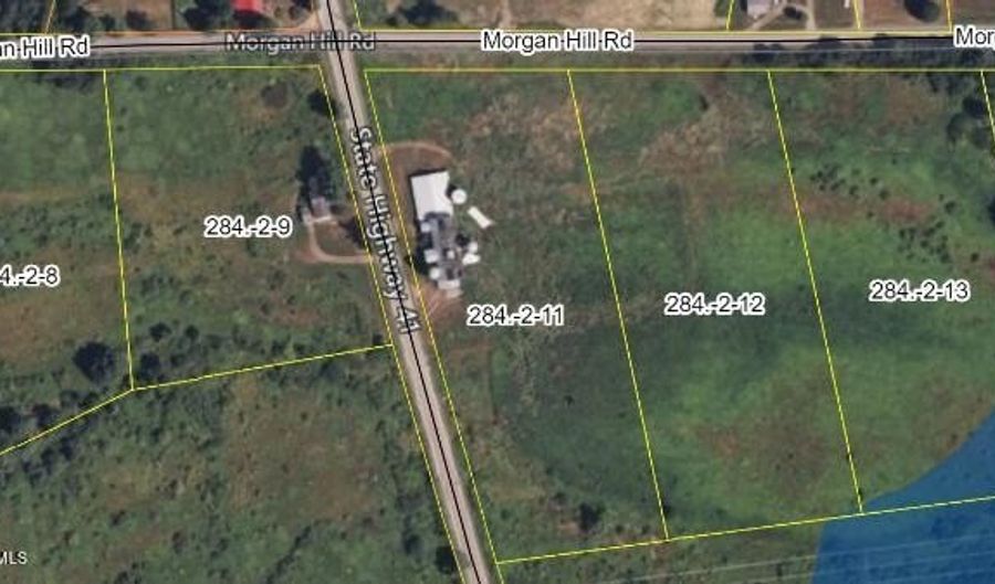 L 12 Morgan Hill Road, Afton, NY 13730 - 0 Beds, 0 Bath