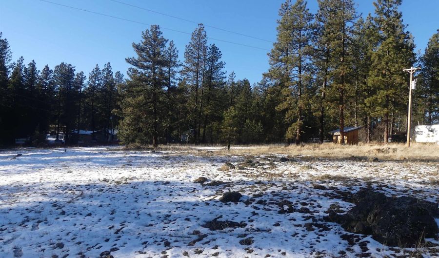 309 Wildrose Ln, Anatone, WA 99401 - 0 Beds, 0 Bath