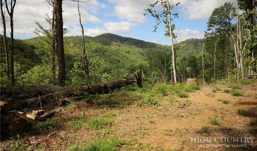 461 Reuben Wooten Rd, Banner Elk, NC 28604 - 2 Beds, 2 Bath