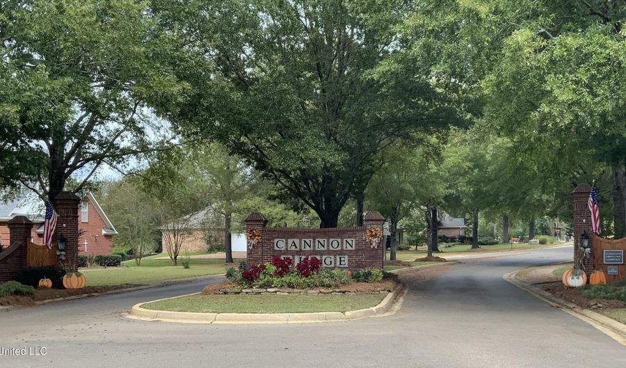 205 Park Ridge Dr, Brandon, MS 39042 - 4 Beds, 2 Bath