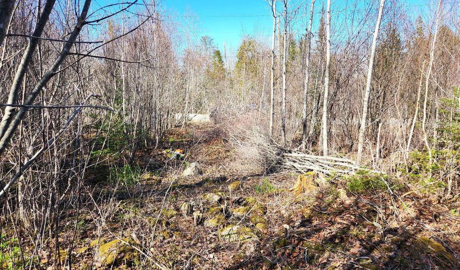 10 Bowling Green Ln, Belfast, ME 04915 - 0 Beds, 0 Bath
