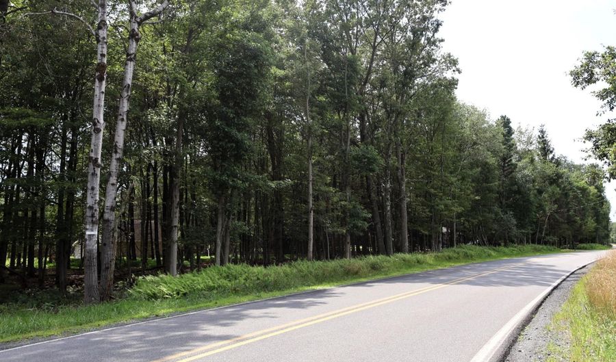 STONY MOUNTAIN ROAD 974V, Albrightsville, PA 18210 - 0 Beds, 0 Bath