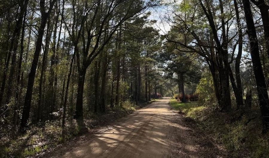 Old Faceville Rd lot # 4, Bainbridge, GA 39819 - 0 Beds, 0 Bath