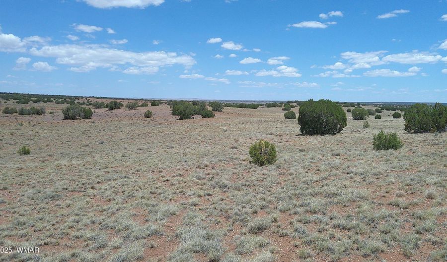 Tbd Ranch of the White Mountains, Concho, AZ 85924 - 0 Beds, 0 Bath