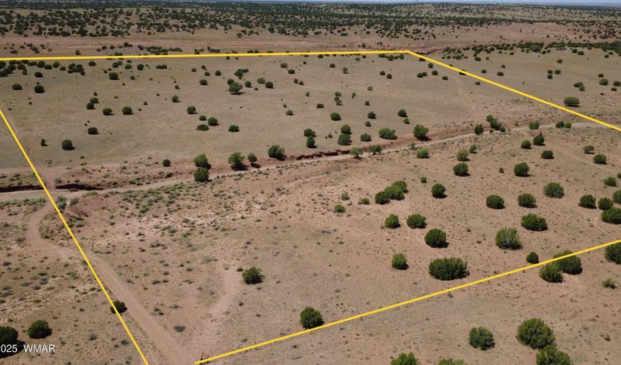 Tbd Ranch of the White Mountains, Concho, AZ 85924 - 0 Beds, 0 Bath