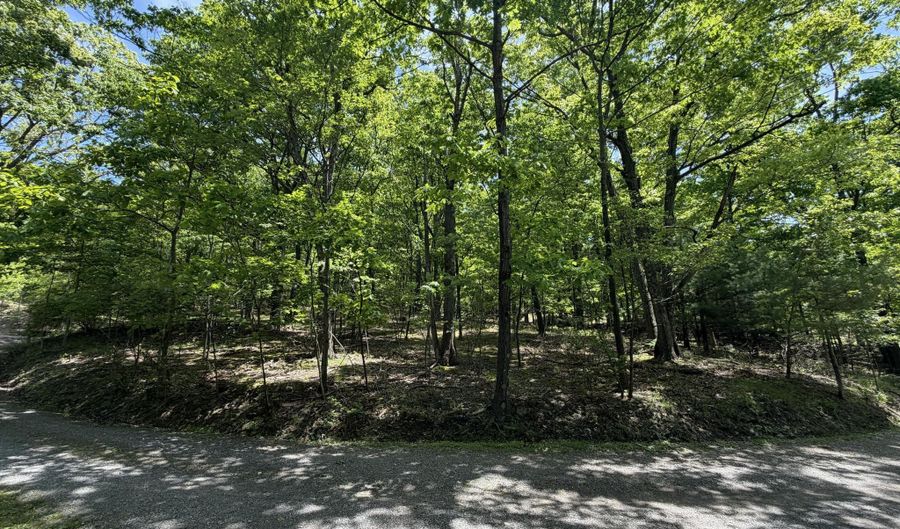 Alpine Lane, Altoona, PA 16601 - 0 Beds, 0 Bath