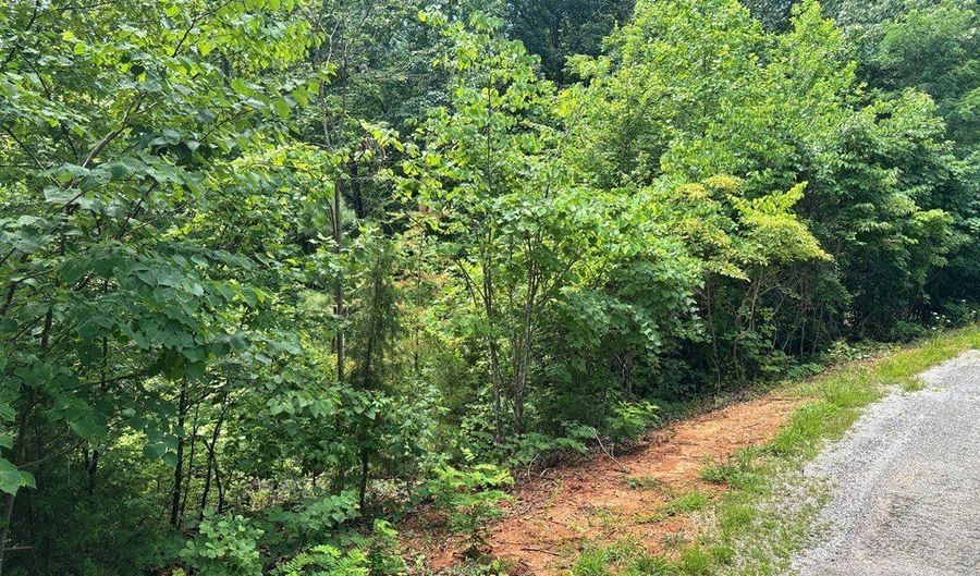 1 31 AC Wood River Ln, Allons, TN 38541 - 0 Beds, 0 Bath