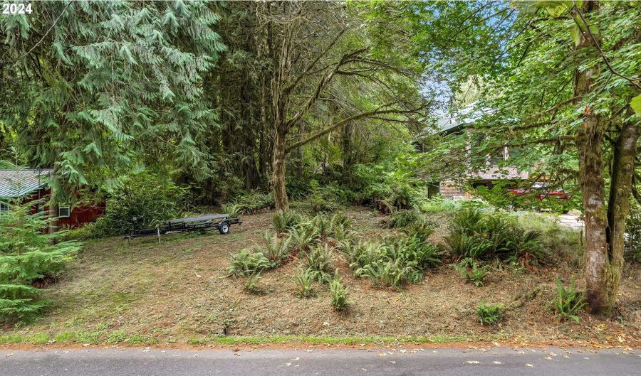 9842 BEACH Dr, Birkenfeld, OR 97016 - 0 Beds, 0 Bath