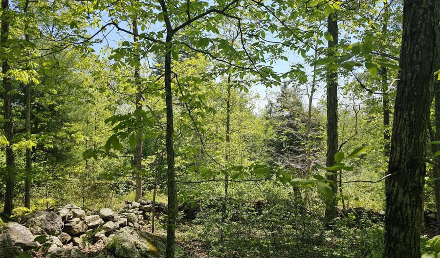 Appell Road, Brooklyn, CT 06234 - 0 Beds, 0 Bath