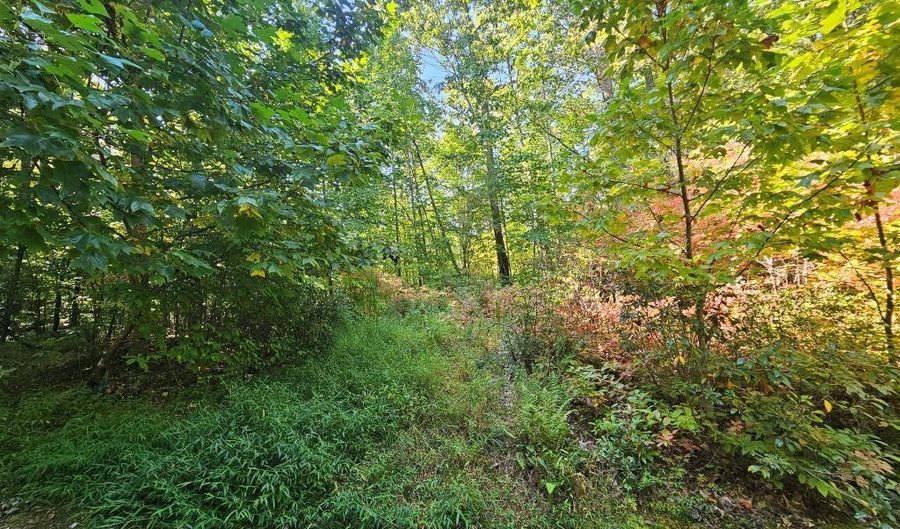 Fox Hollow Dr lot 17, Bastian, VA 24314 - 0 Beds, 0 Bath