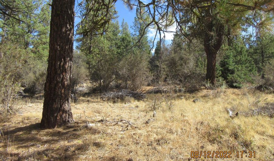 Brown Bear Lane lot 12W2, Bonanza, OR 97623 - 0 Beds, 0 Bath