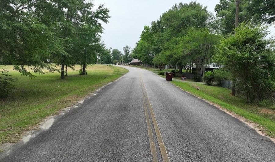 Lakeshore Dr, Bainbridge, GA 39819 - 0 Beds, 0 Bath