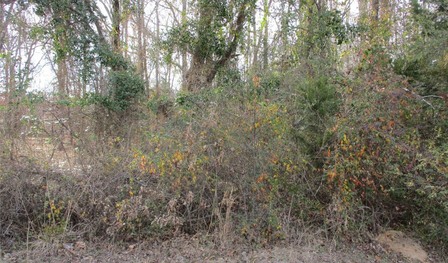 Wood County Road 2958, Alba, TX 75410 - 0 Beds, 0 Bath
