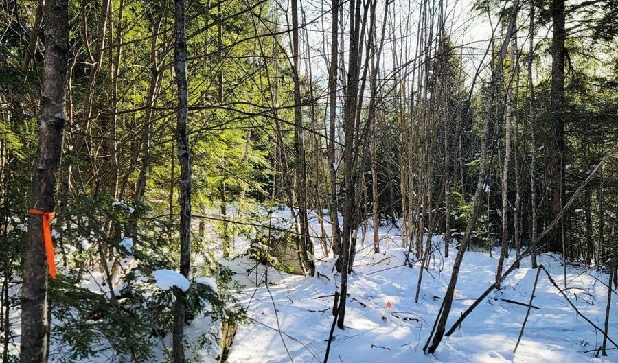 B-2BackLot Pioneer Path, Aurora, ME 04605 - 0 Beds, 0 Bath