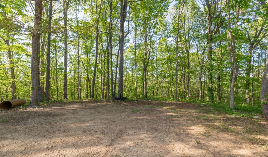 13323 Ellison Trce, Birchwood, TN 37308 - 3 Beds, 2 Bath