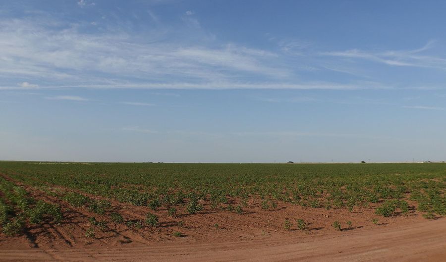 FM 597, Abernathy, TX 79311 - 0 Beds, 0 Bath