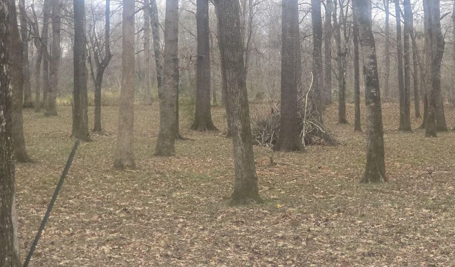 CYPRESS POINT DRIVE lot 12, Akron, AL 36776 - 0 Beds, 0 Bath