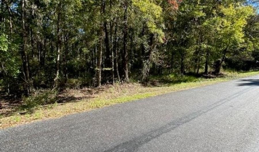 19611 NW 75TH St, Alachua, FL 32615 - 0 Beds, 0 Bath