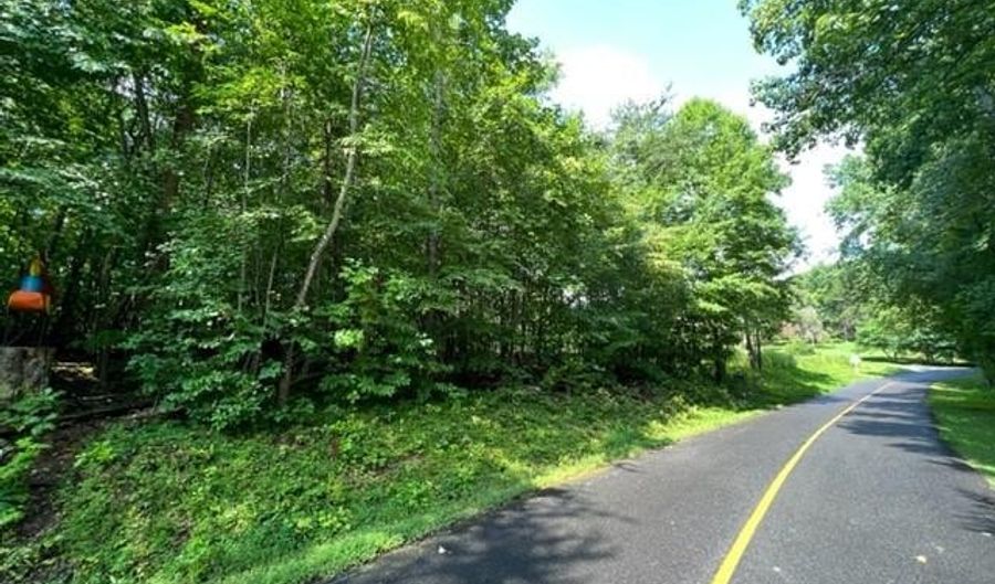 Lot 20 Hazelwood Court, Baneberry, TN 37890 - 0 Beds, 0 Bath