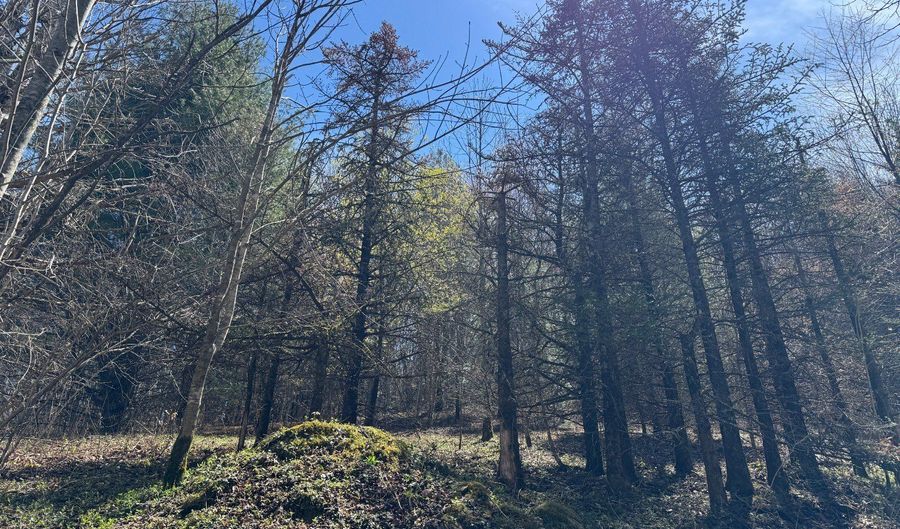 tbd Big Sky Lane, Banner Elk, NC 28604 - 0 Beds, 0 Bath
