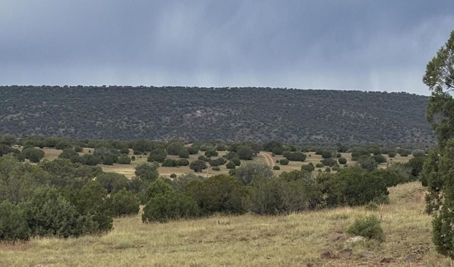 N8485, Concho, AZ 85924 - 0 Beds, 0 Bath