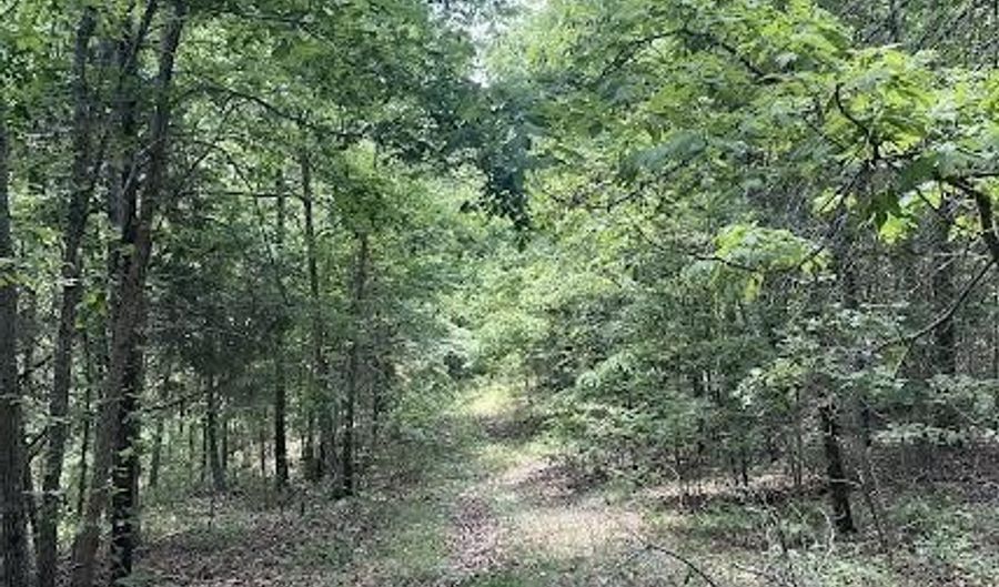 Co Rd 304, Ava, MO 65608 - 0 Beds, 0 Bath