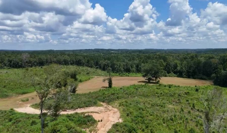 00 Ebenezer Church Rd, Bassfield, MS 39421 - 0 Beds, 0 Bath