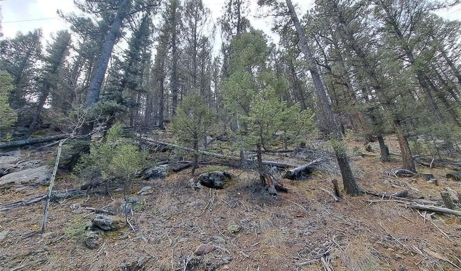 1077 ROLAND Dr, Bailey, CO 80421 - 0 Beds, 0 Bath