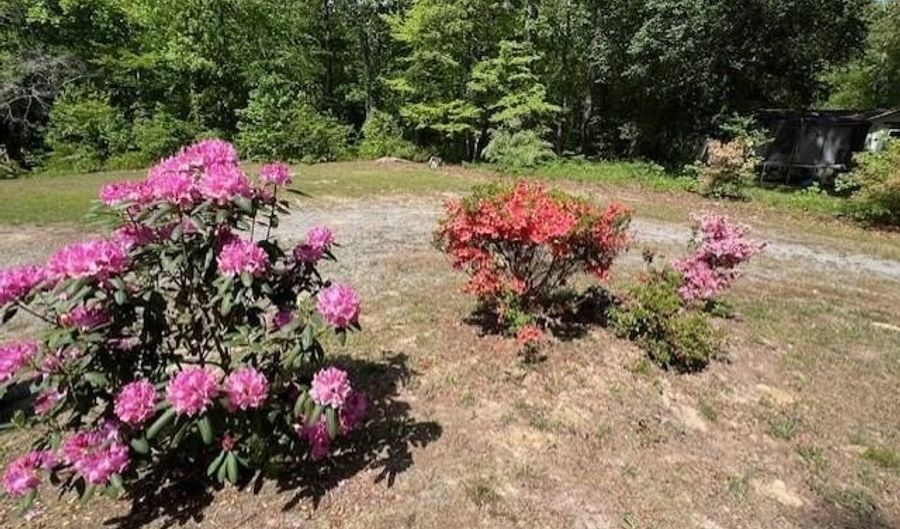 127 Haywood Dr, Roanoke Rapids, NC 27870 - 3 Beds, 2 Bath