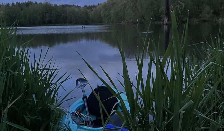 15116 NE GRANTHAM Rd, Amboy, WA 98601 - 4 Beds, 3 Bath