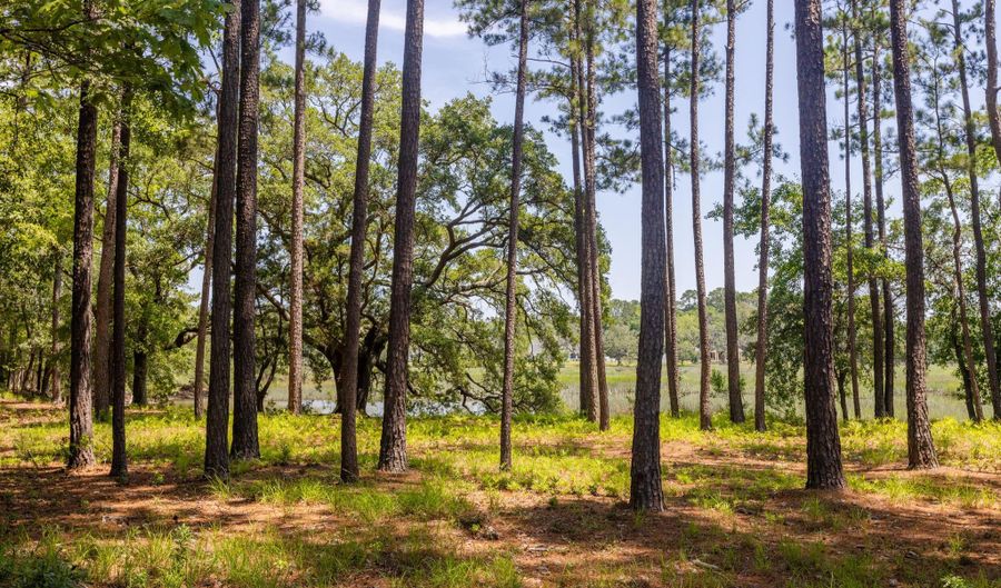 142 Cutter Cir, Bluffton, SC 29909 - 4 Beds, 5 Bath