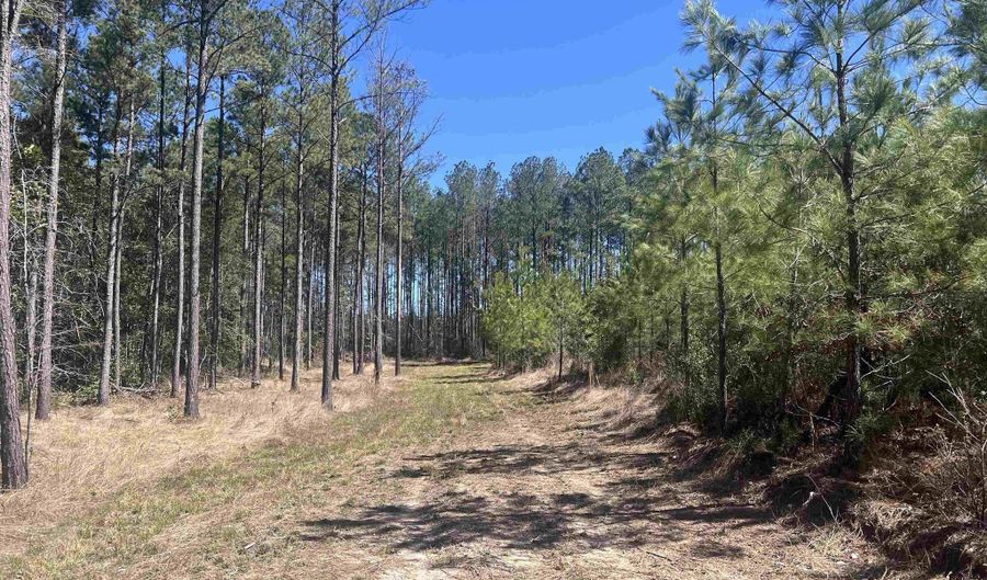 4 Robinsonville Rd, Atmore, AL 36502 - 0 Beds, 0 Bath
