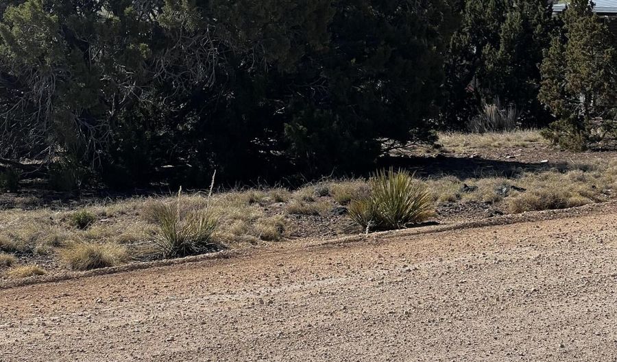 60 Short Ln, Concho, AZ 85924 - 0 Beds, 0 Bath