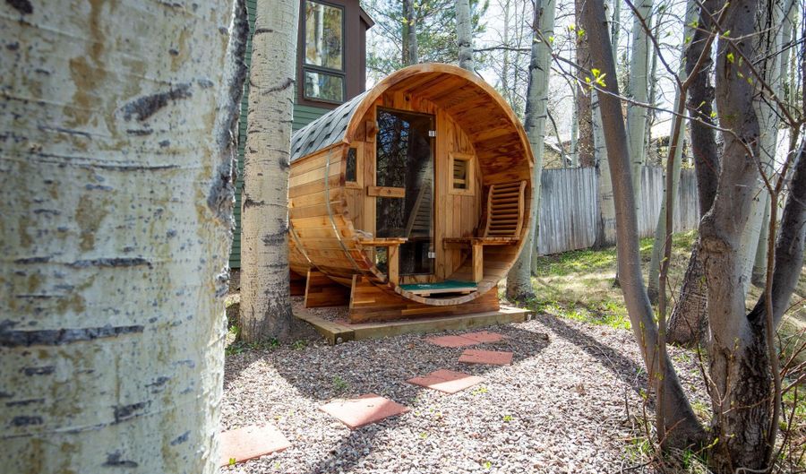 925 W North St, Aspen, CO 81611 - 5 Beds, 4 Bath