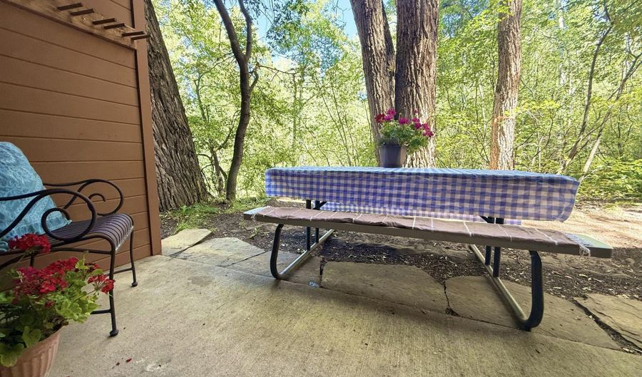 1214 Vine St 1214, Aspen, CO 81611 - 2 Beds, 1 Bath
