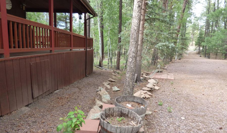 38 CR 2266, Alpine, AZ 85920 - 3 Beds, 2 Bath