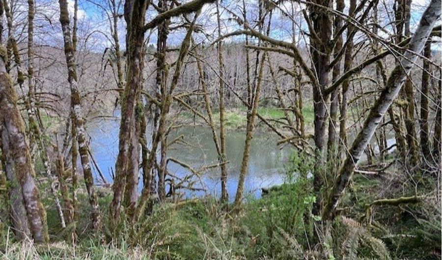 Northrup Creek RD, Birkenfeld, OR 97016 - 0 Beds, 0 Bath