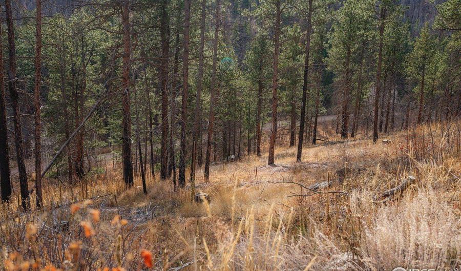 0 Cougar Cir Ct, Bellvue, CO 80512 - 0 Beds, 0 Bath